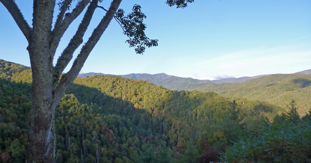 Escape to Cataloochee: Your Smoky Mountain Adventure Awaits!