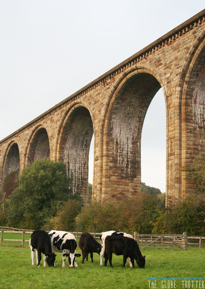 Pontcysyllte Aqueduct, Cefn Mawr Viaduct and Horseshoe Falls The