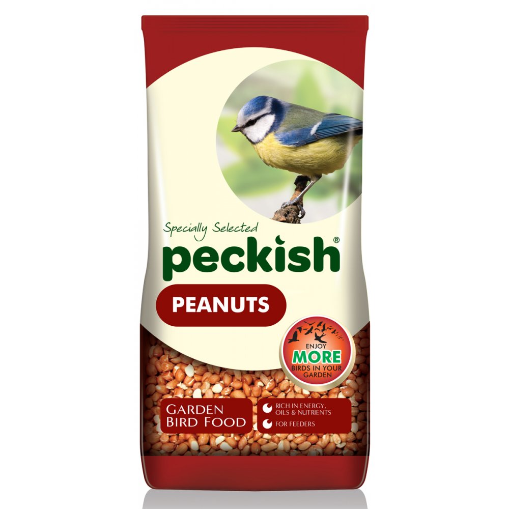 Bird In Everything Bird Seeds Types