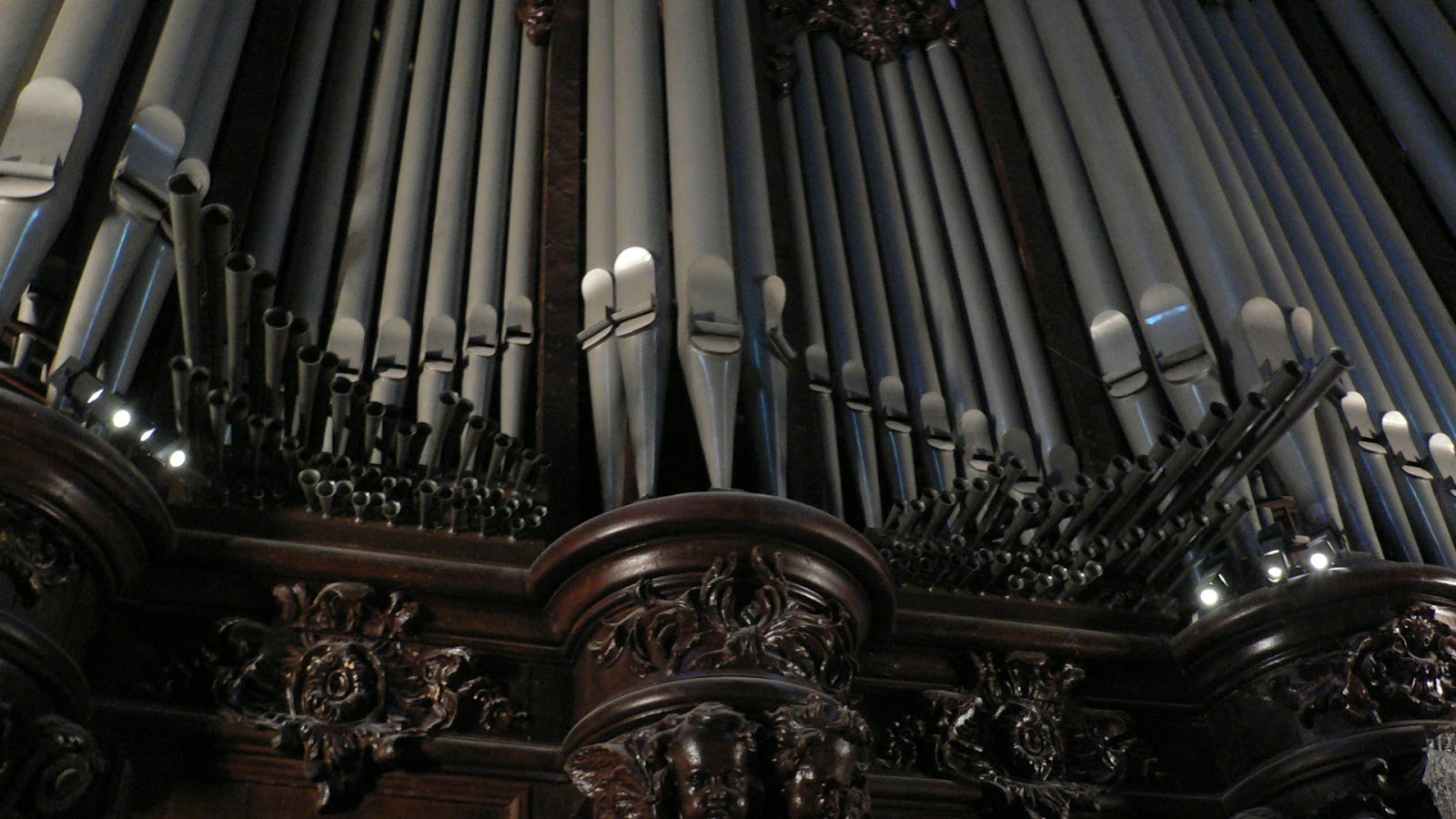 ngobithe NotreDame de Paris célèbre la journée mondiale de