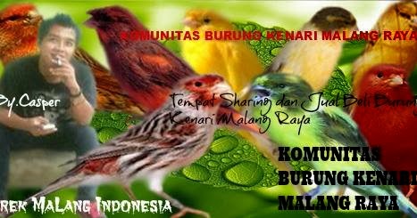 KOMUNITAS BURUNG KENARI MALANG RAYA