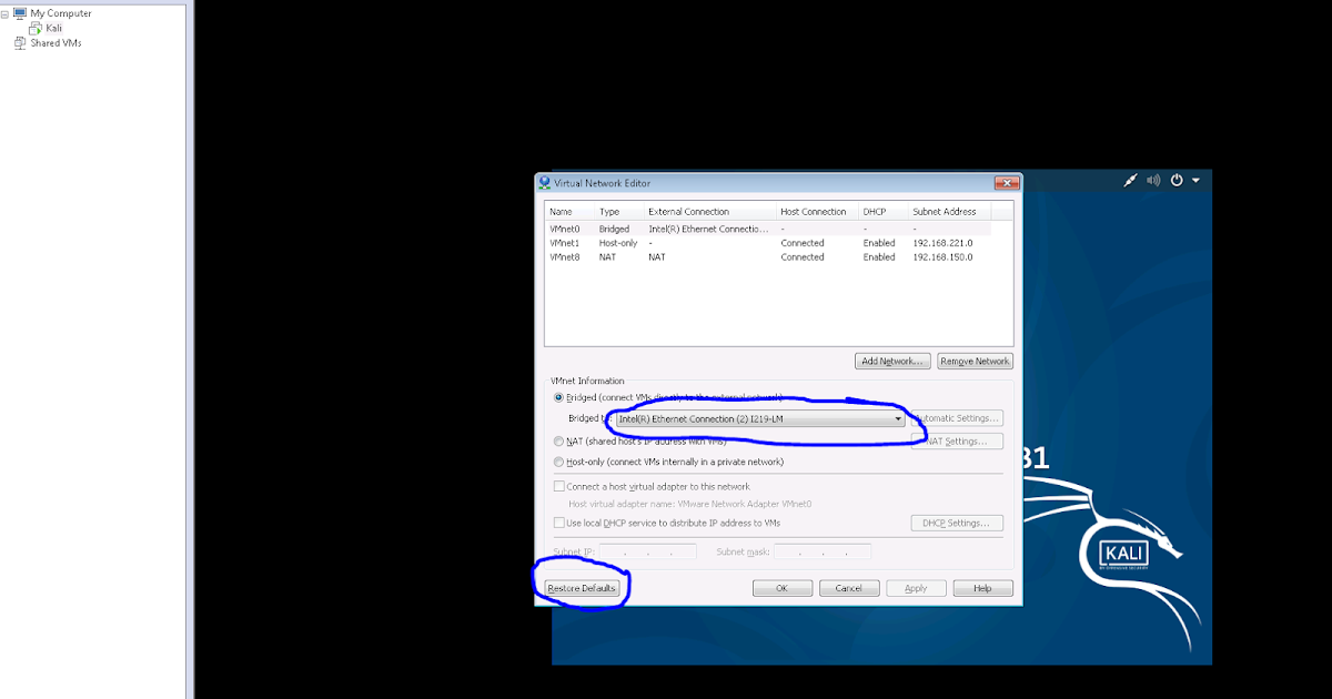 ITSecurity Fixing connection to for Kali linux on VMWare