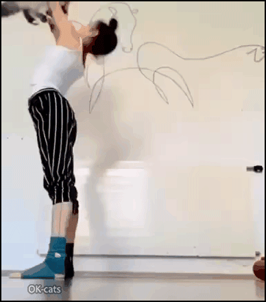 Amazing Cat GIF • Crazy cat girl doing home workout routine with her helpful cat. Amazing Cat GIF • Crazy cat girl doing home workout routine with her helpful cat.