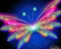 Butterfly Wallpaper - Butterfly Pictures