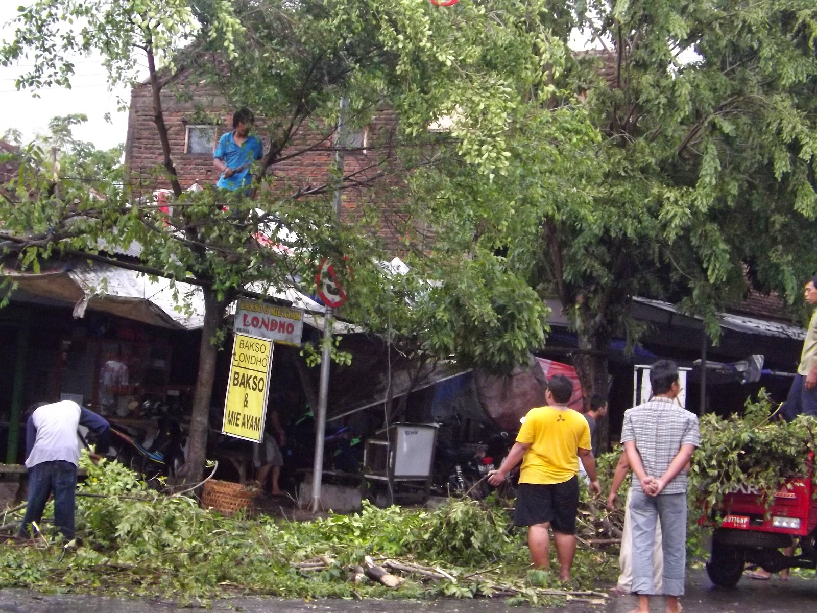 Satu Mobil Tertimpa Pohon Tumbang Akibat Hujan Deras Dan Angin Kencang, Listrik Padam