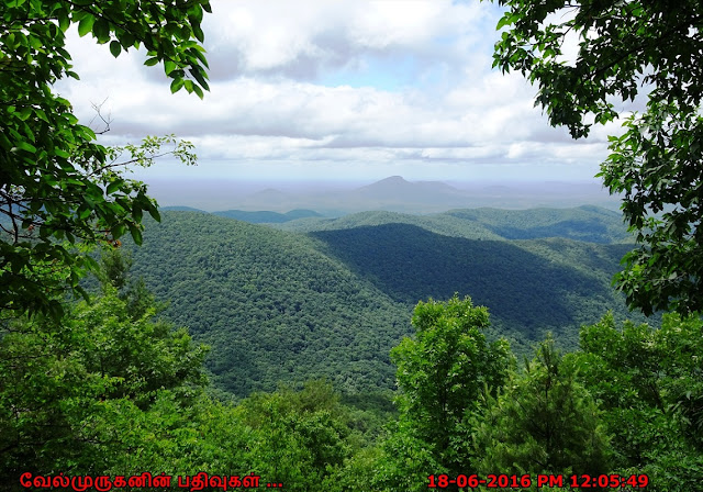 Appalachian Trail View Points Georgia