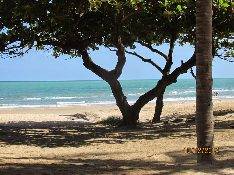 RECIFE-PE > PRAIA DE BOA VIAGEM > (Foto > Neca Machado)