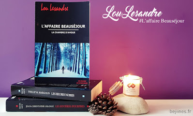 Livre - L'affaire Beauséjour : Lou Lessandre