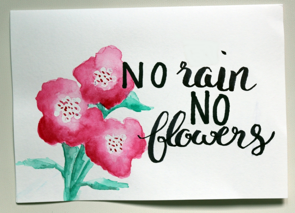 Mail Adventures No Rain No Flowers