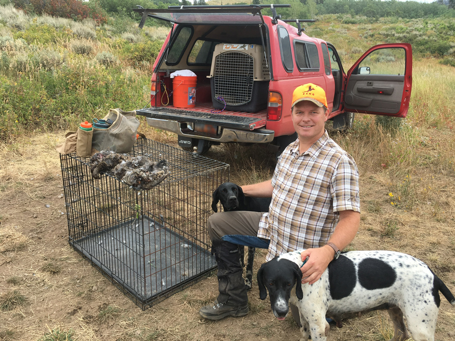 UTAH GROUSE HUNT 2017 CONTINUES