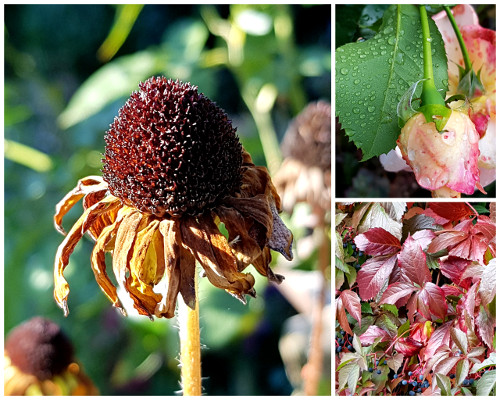 Nunu S Garn Und Stofflabor Oktober Farben Und Der