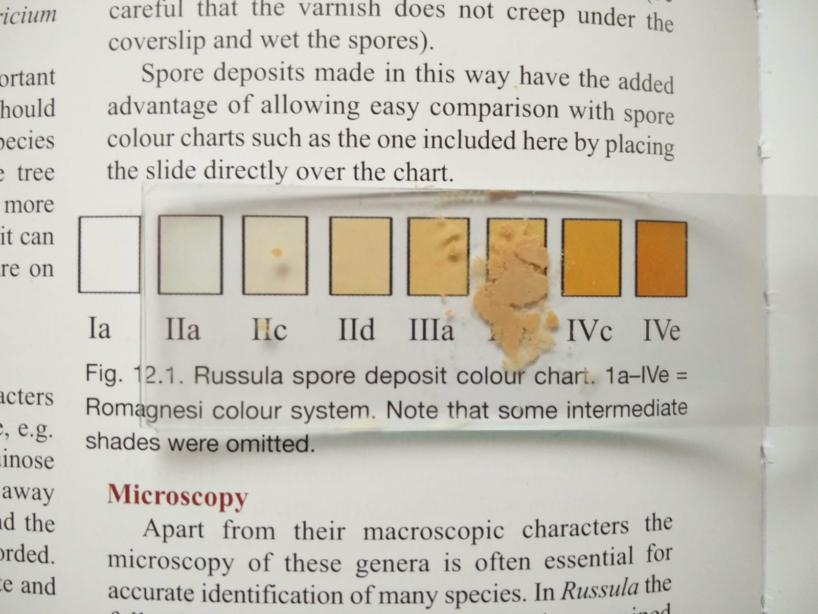 Spore Print Color Chart