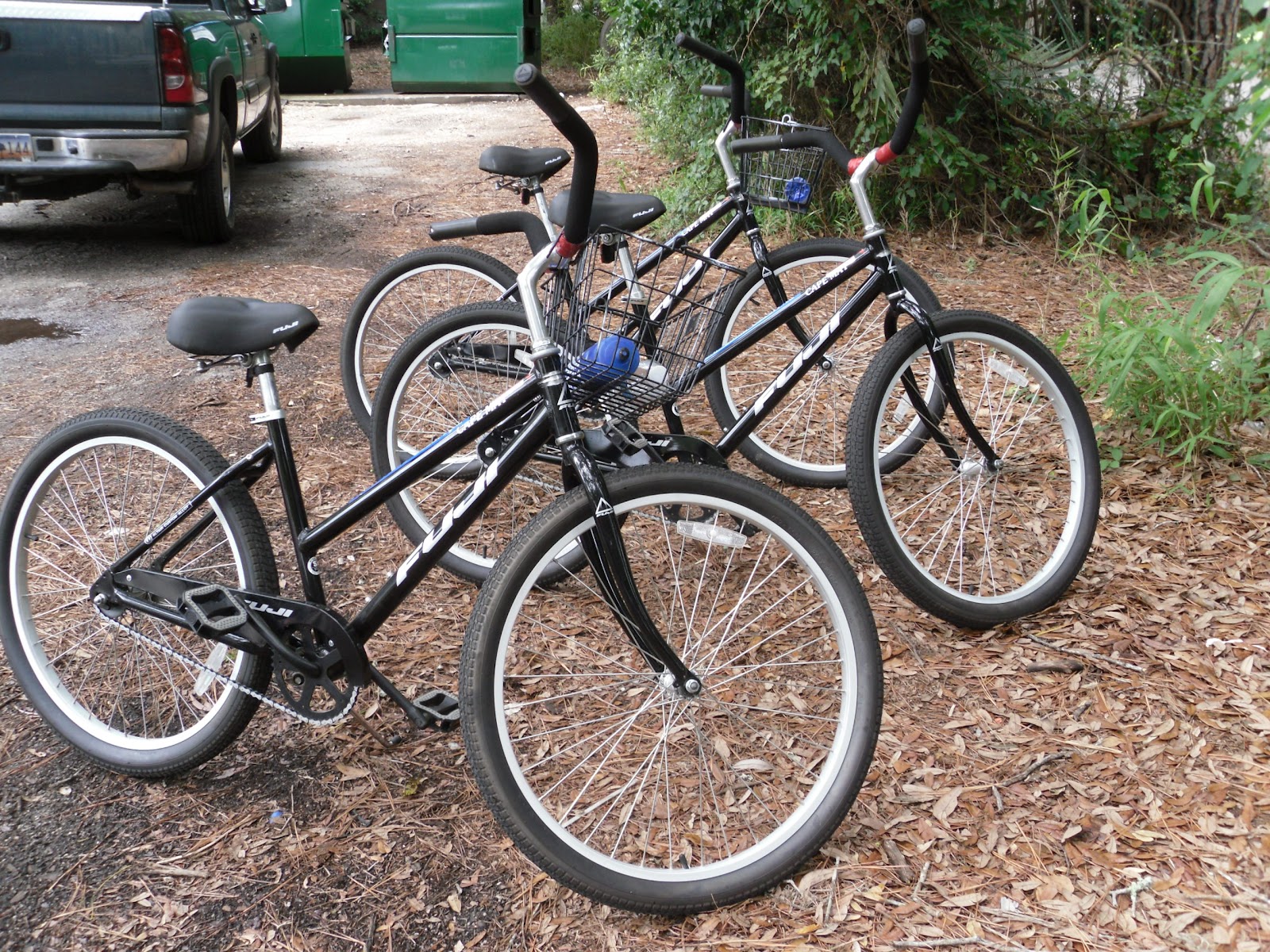 Quarter Life Crisis Hilton Head Island Things to Do