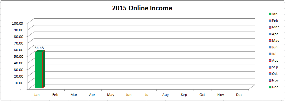 How much am i making from online income 