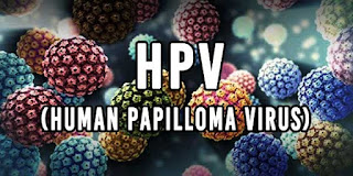 Image Virus Penyebab Tumbuhnya Kutil Kelamin