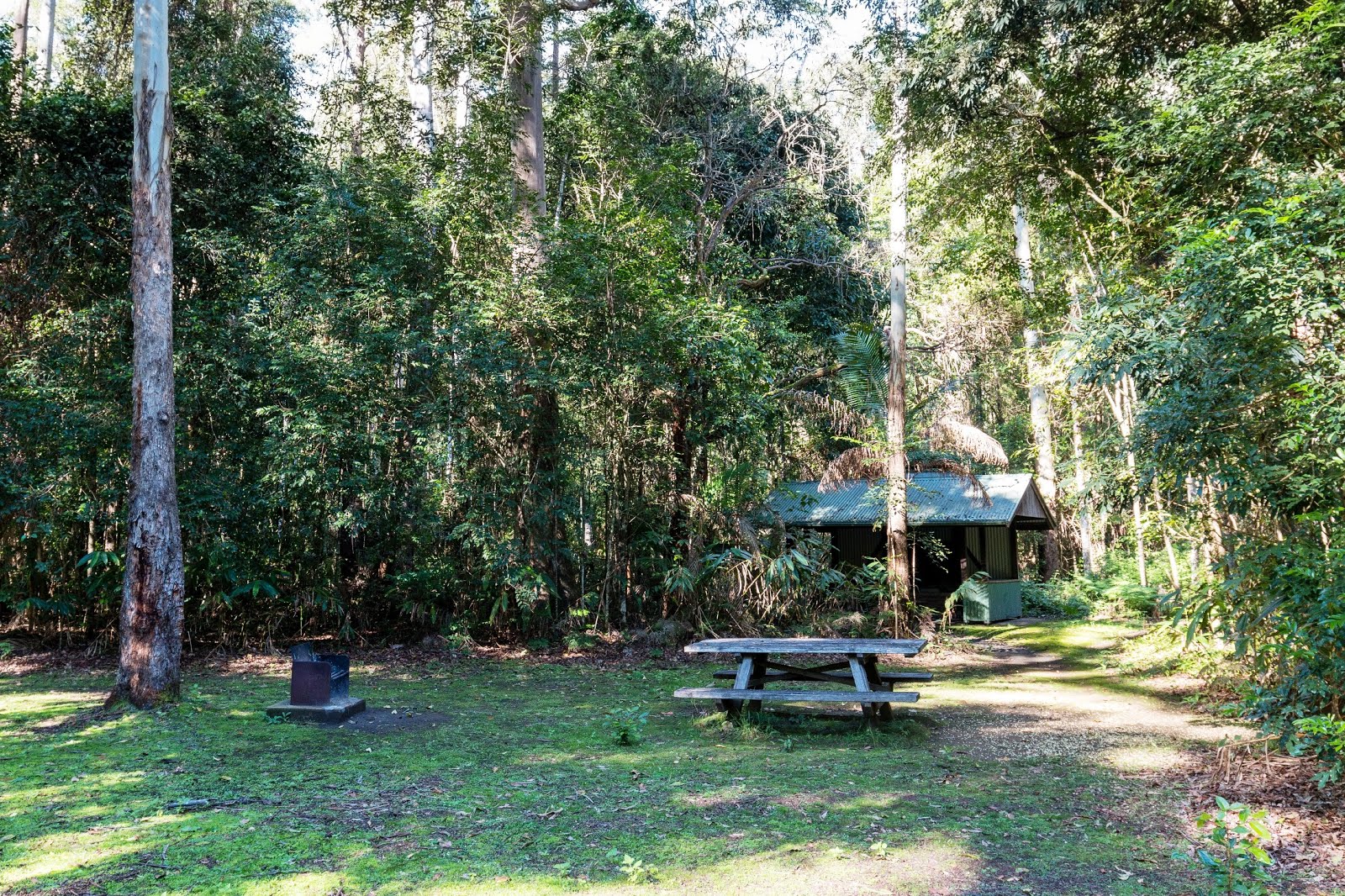 National Park Odyssey Iron Pot Creek Campground and Toonumbar Forest