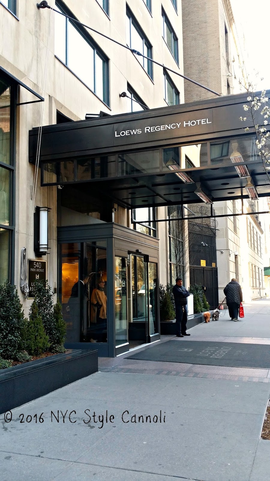 Review Disneyland Hotel