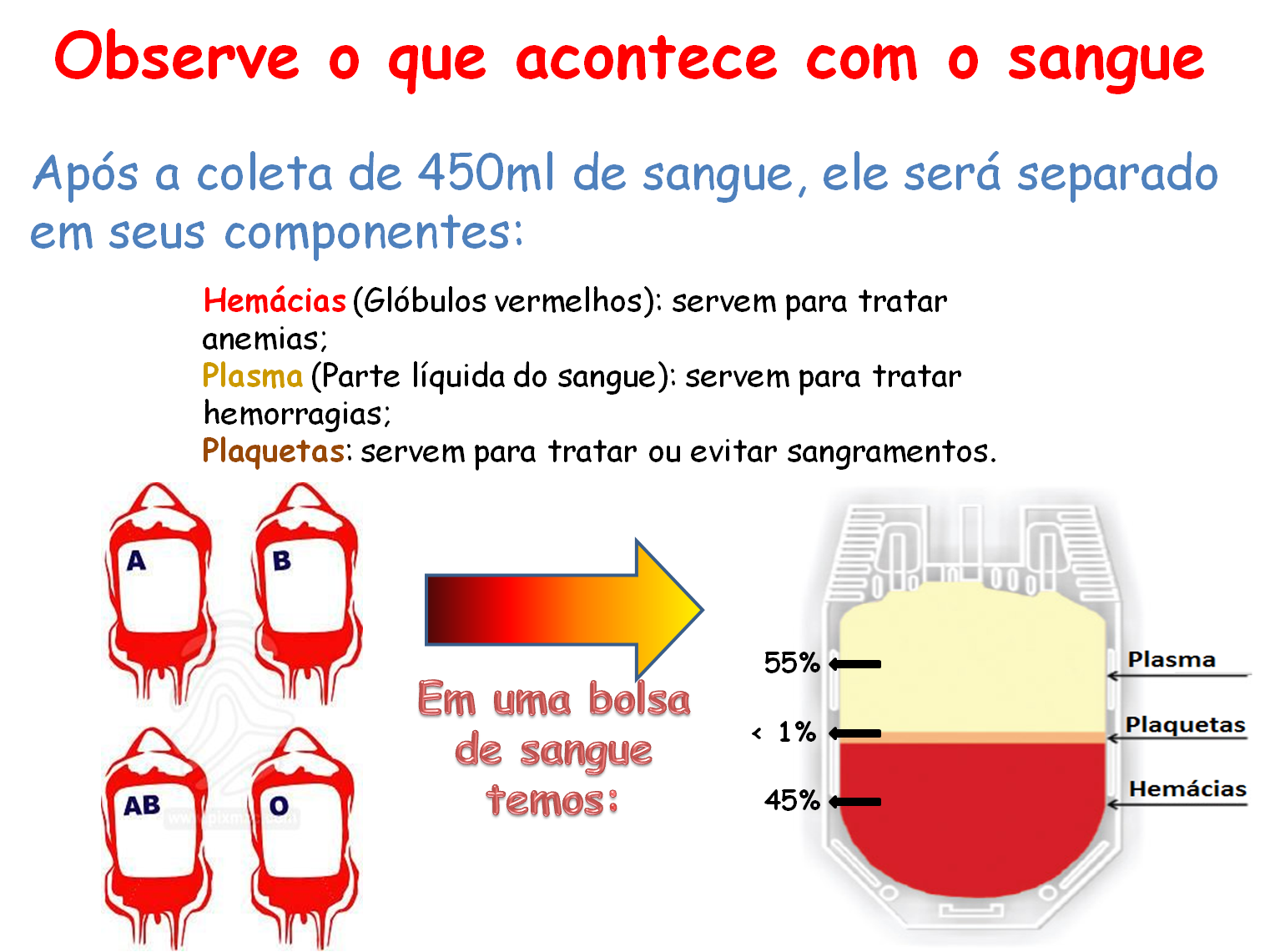 Consultoria de Enfermagem Mendes & Hernandez: Doenças do Sangue e os ...