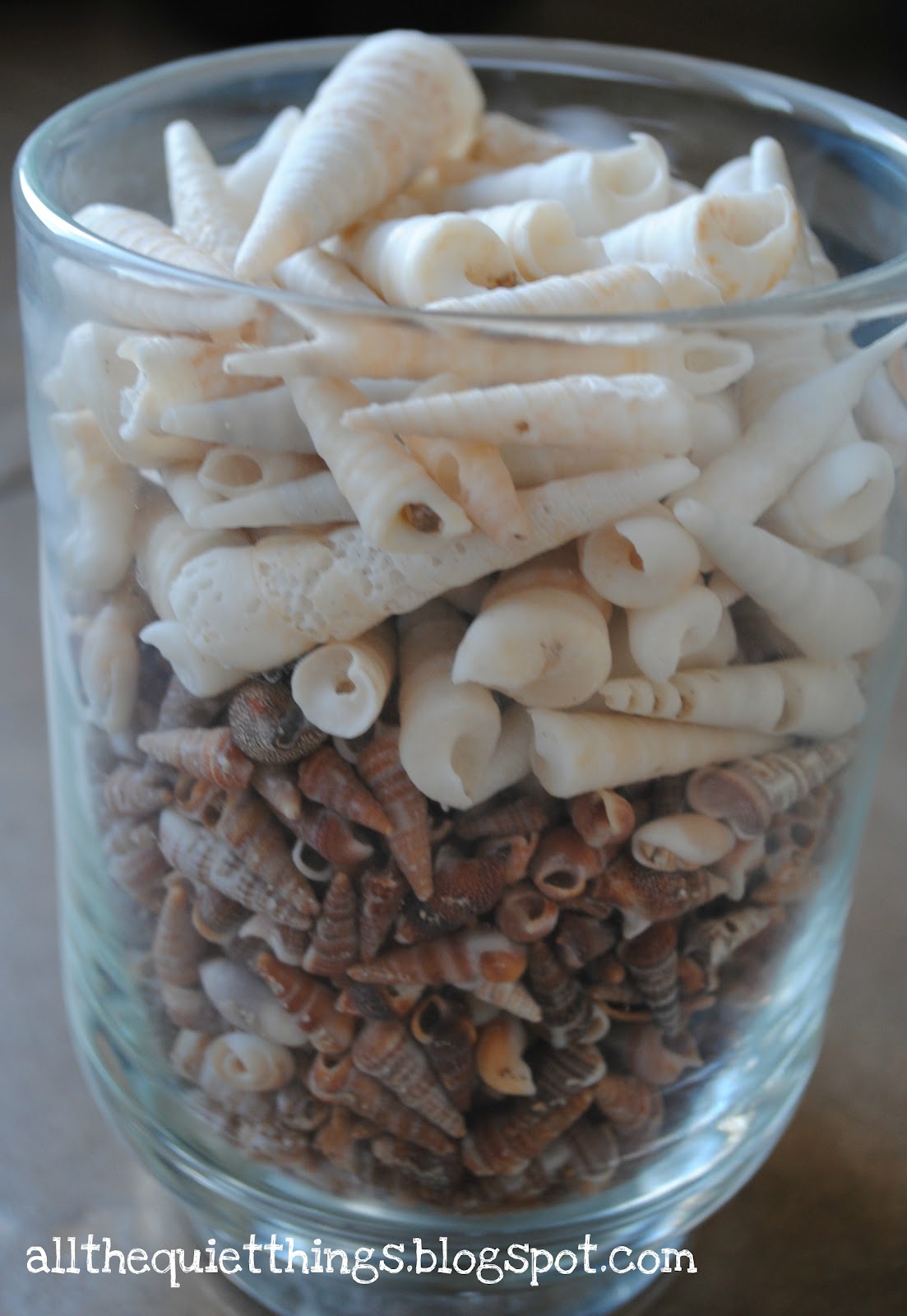 All The Quiet Things: She Sells Sea Shells...
