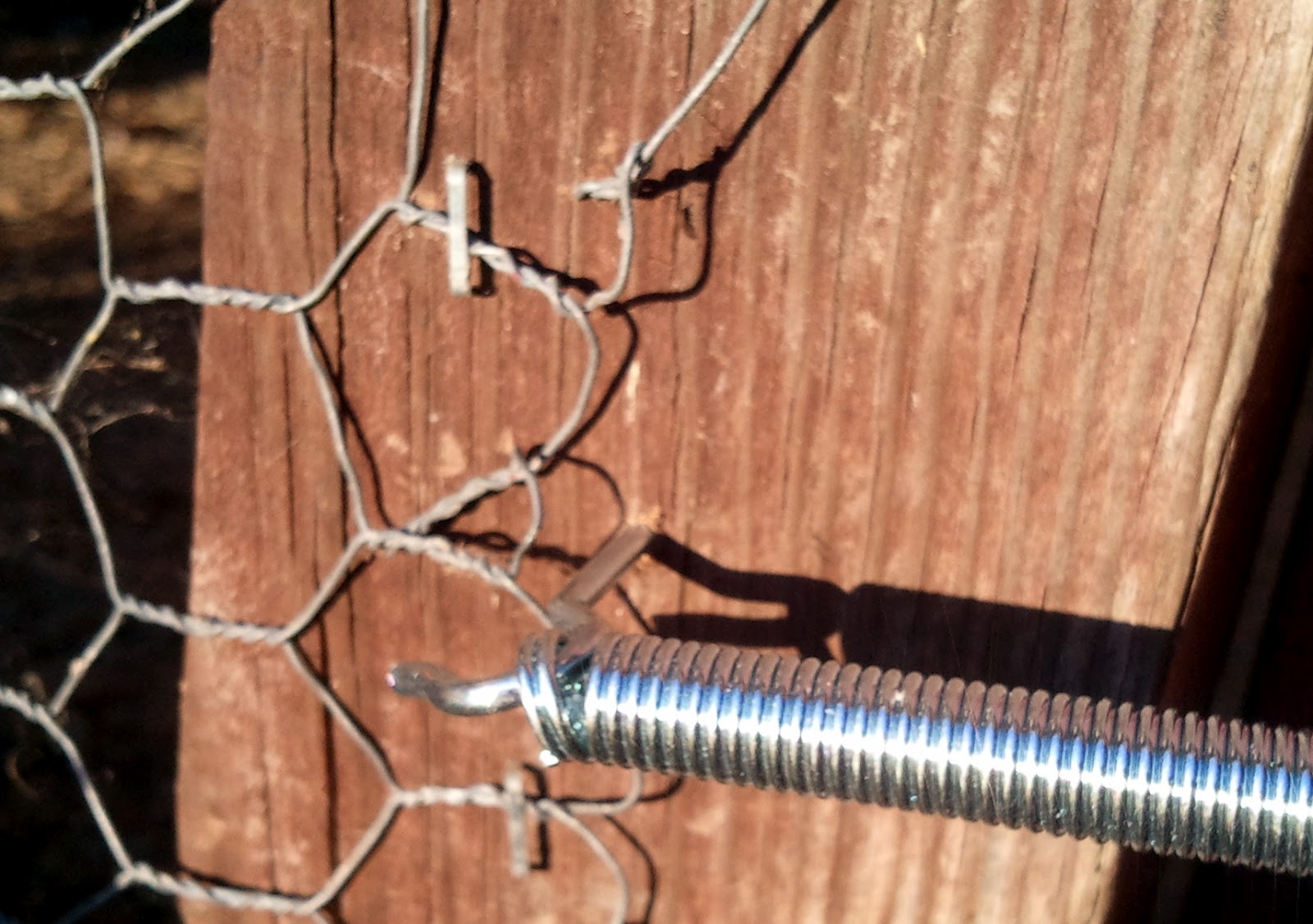 DIY SelfClosing Chicken Run Gate Fresh Eggs Daily® with Lisa Steele