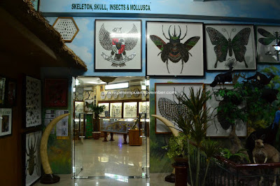 Rahmat International Wildlife Museum & Gallery wisata medan