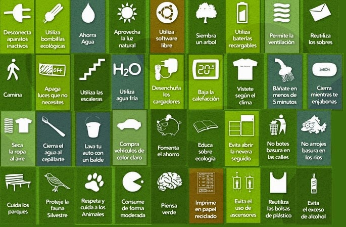 живи экологично. живи экологично. экологичные привычки. как жить экологично в городе. как прожить экологично в мегаполисе.