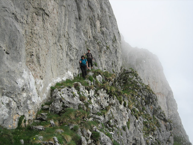 Sedo en el descenso de la Tesa