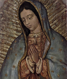 Our Lady of Guadalupe-Pray for Us