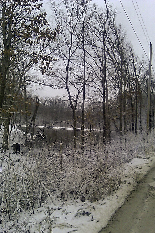 Frozen pond and snow covered trees along a rural road in Warrenton Missouri