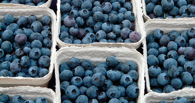 Blueberries: Health Benefits, Facts, Research