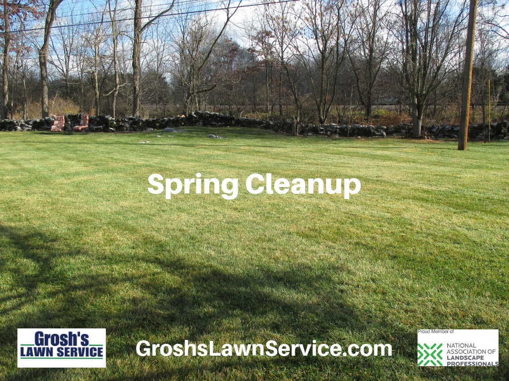 Spring Cleanup Lawn Hagerstown MD Landscaping Contractor Washington Email Tom Now to schedule your spring cleanup here in the Hagerstown MD area and Washington County Maryland. - Spring Cleanup Lawn Hagerstown MD Landscaping Contractor Washington