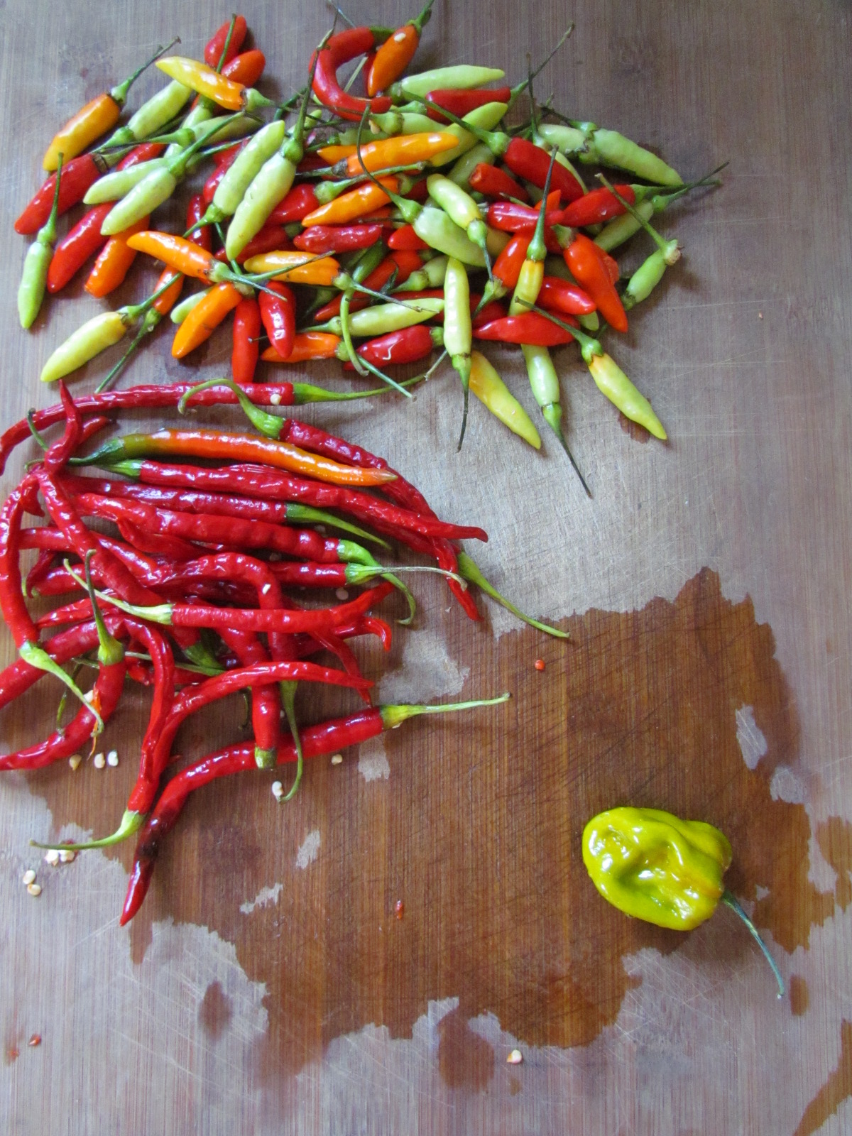 Pioneer Woman at Heart Gifted Homemade Crushed Red Pepper Flakes Hot Banana Pepper Relish
