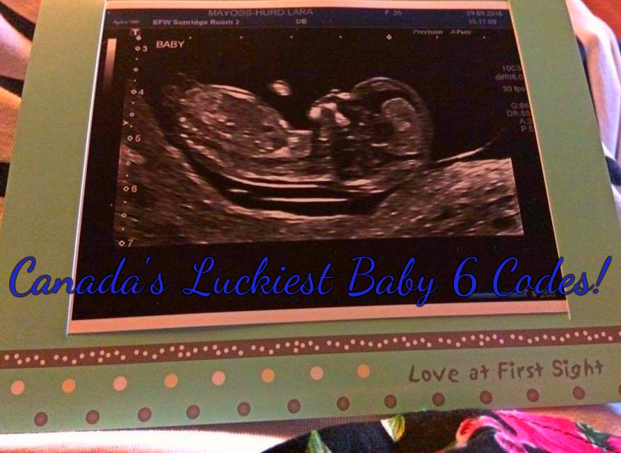 Love And Life With A Crafter Mama Wife Canada's Luckiest Baby 6 Codes