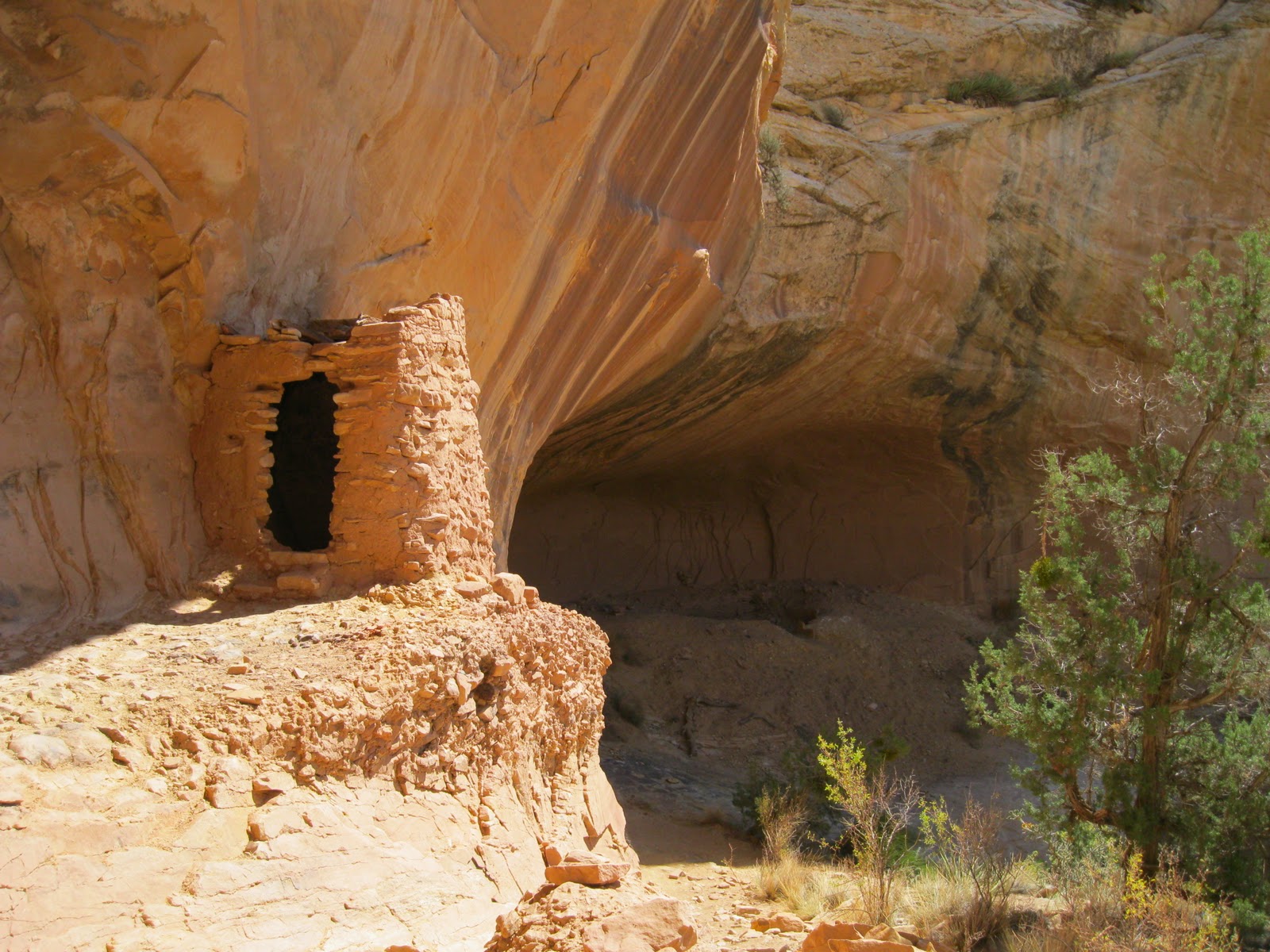 Four Corners HikesCedar Mesa in Utah Tower House Ruins Trail