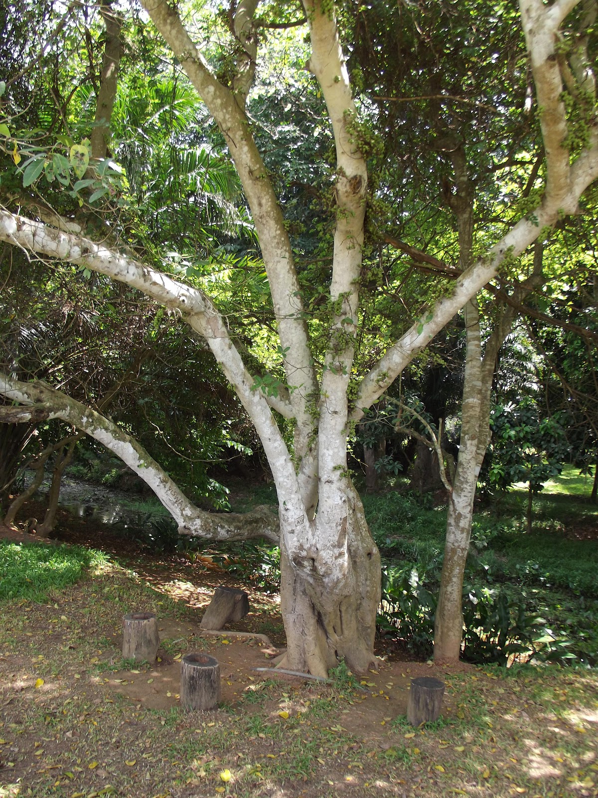 The Ceylon Times: May 2012