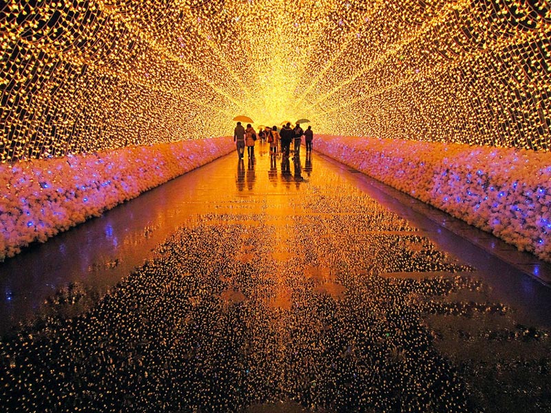 Japan's Winter Lights Festival