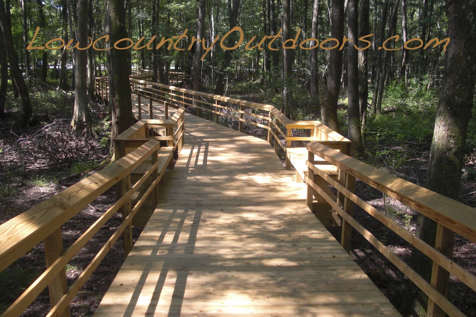 Lowcountry outdoors Great Swamp Sanctuary dedicates boardwalk