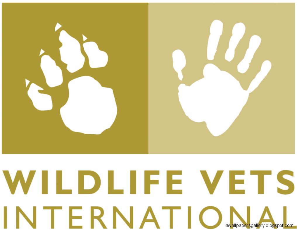 Wildlife Vets International WVI a charity making it their