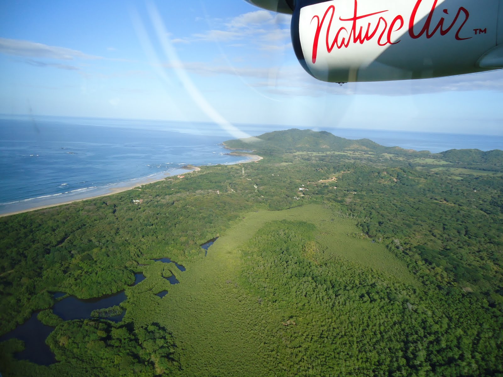 1st thanksgiving year