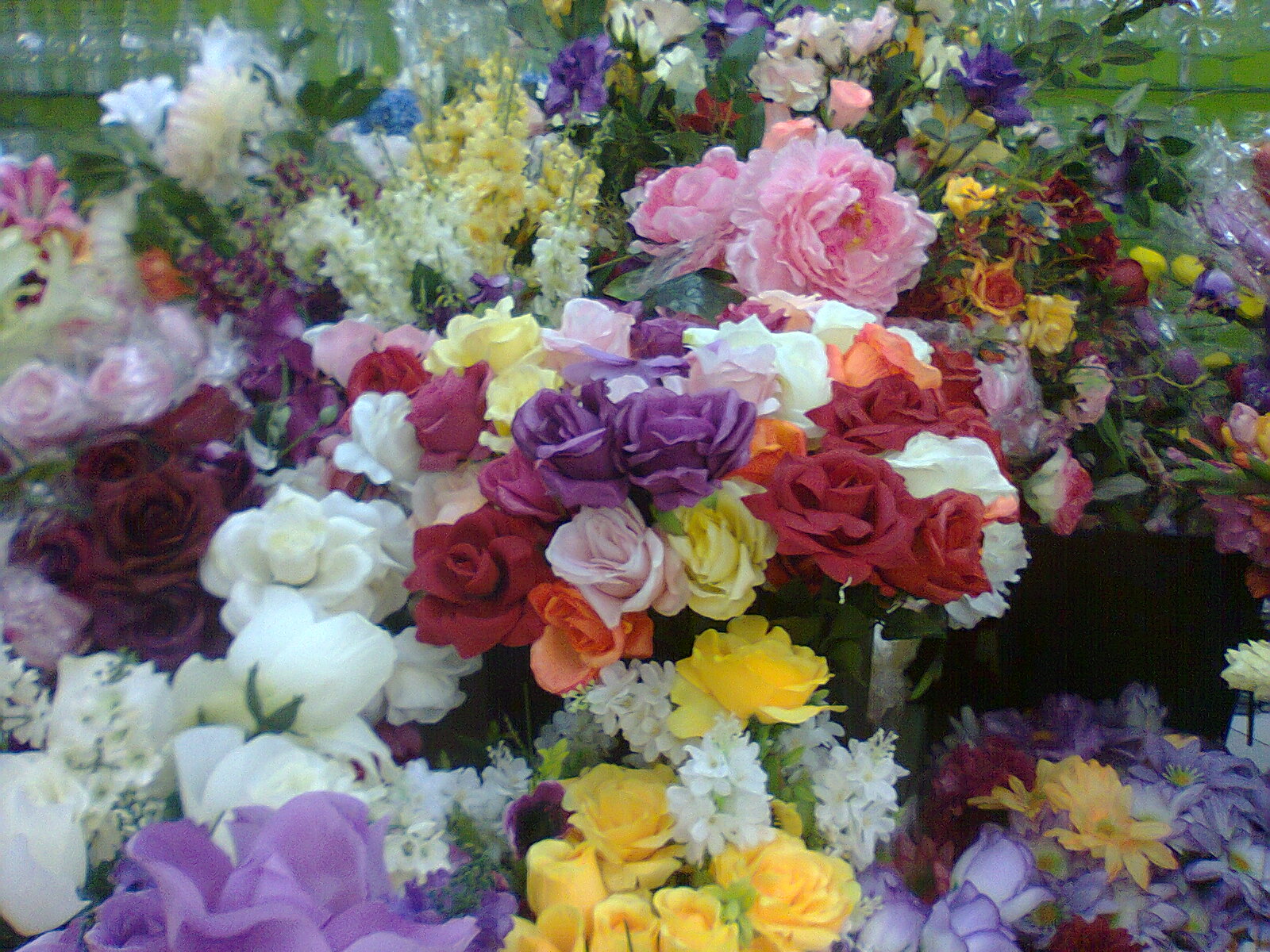 Claudia Lobato - Beijocas Coloridas - Arte e outras alegrias: Profusão - Flores para quem te quero!