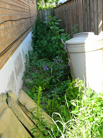 Scarborough Toronto side yard garden clean up before by Paul Jung Gardening Services