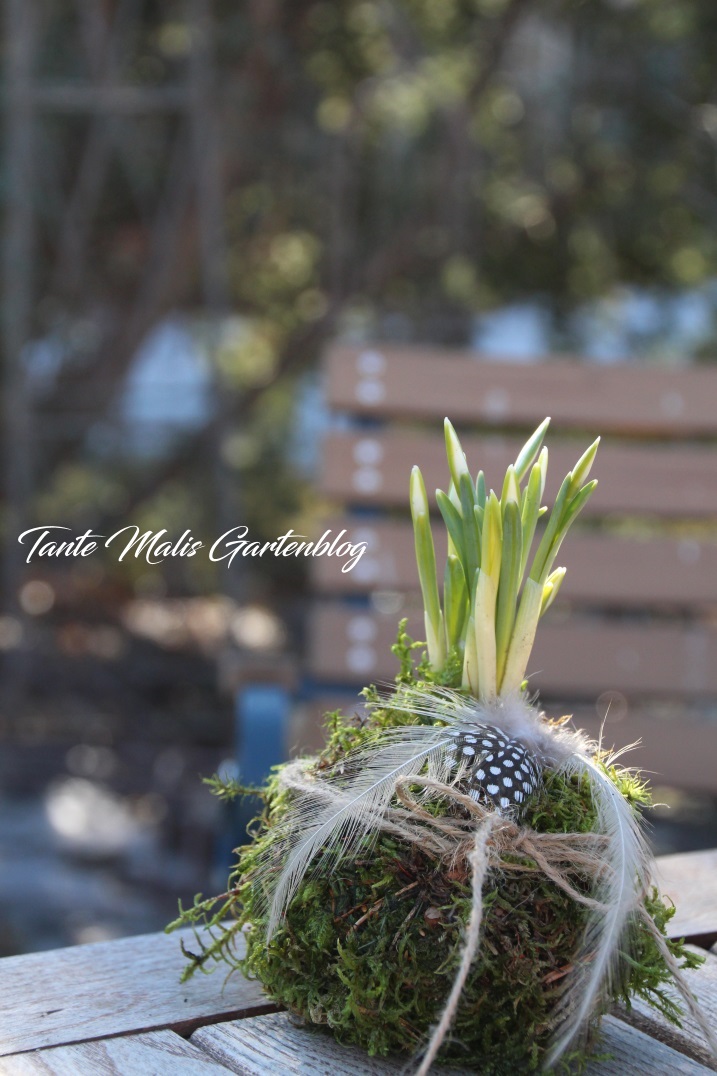 Tante Malis Gartenblog
