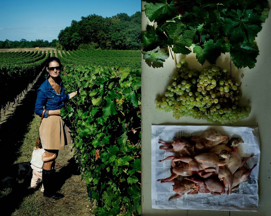 viñedos burdeos y recetas de cocina