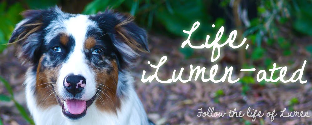 Life, iLumen-ated