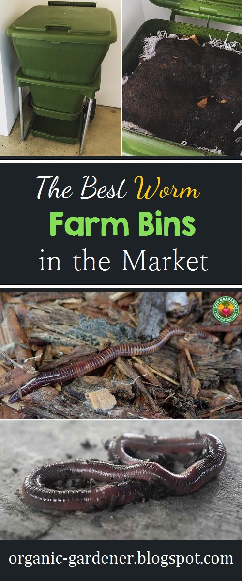 The Best Worm Farm Bins in the Market Organic Gardening