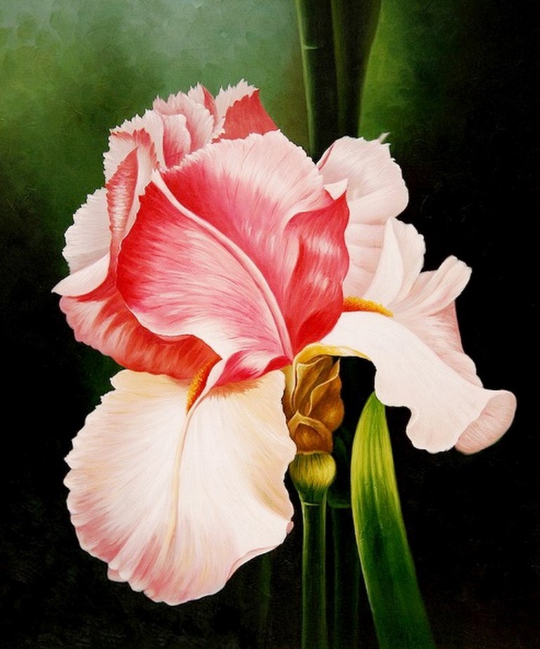 El arte es su máxima expresión : Cuadros de Flores 2013