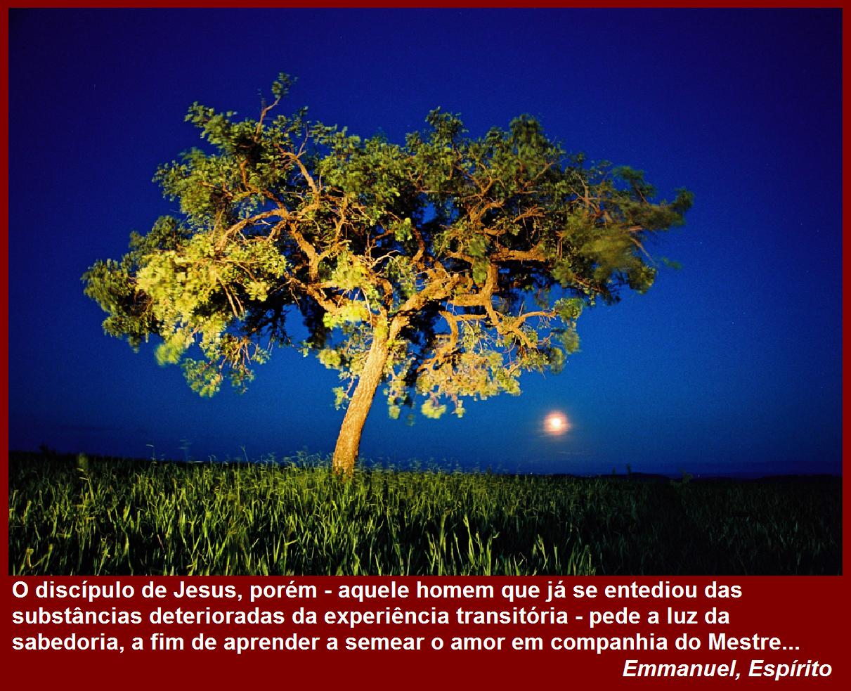 GRUPO ESPÍRITA ALLAN KARDEC As lições da figueira seca