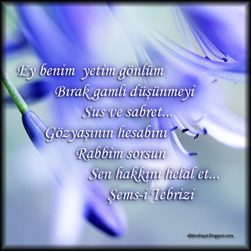 Hakkını Helal Et Dilek Mektubu