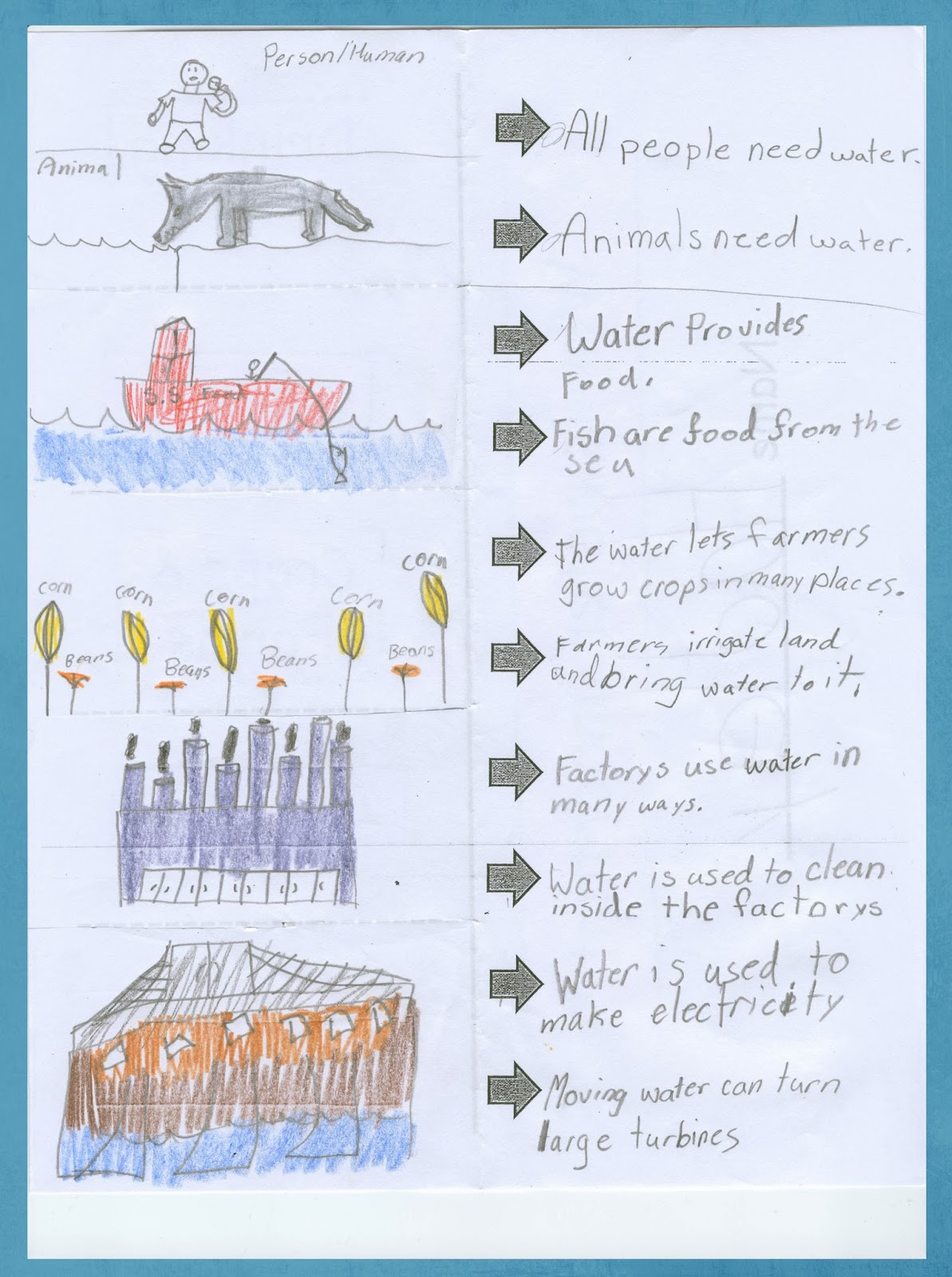 Third Grade Stars: Why is Water Important?