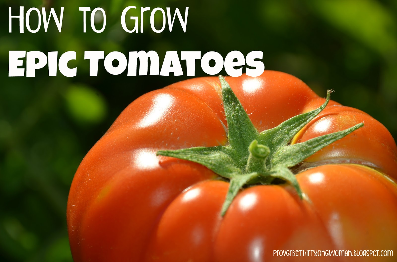 Proverbs about fruits and vegetables Proverbs about fruits and vegetables